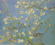 Vincent Van Gogh Blossoming Almond Tree (nn04) Germany oil painting reproduction